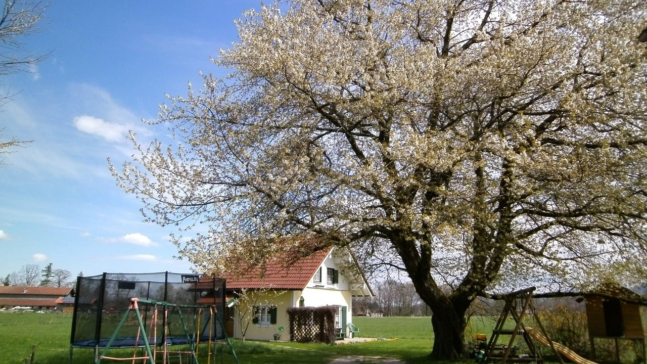 Photo of Others in Luft