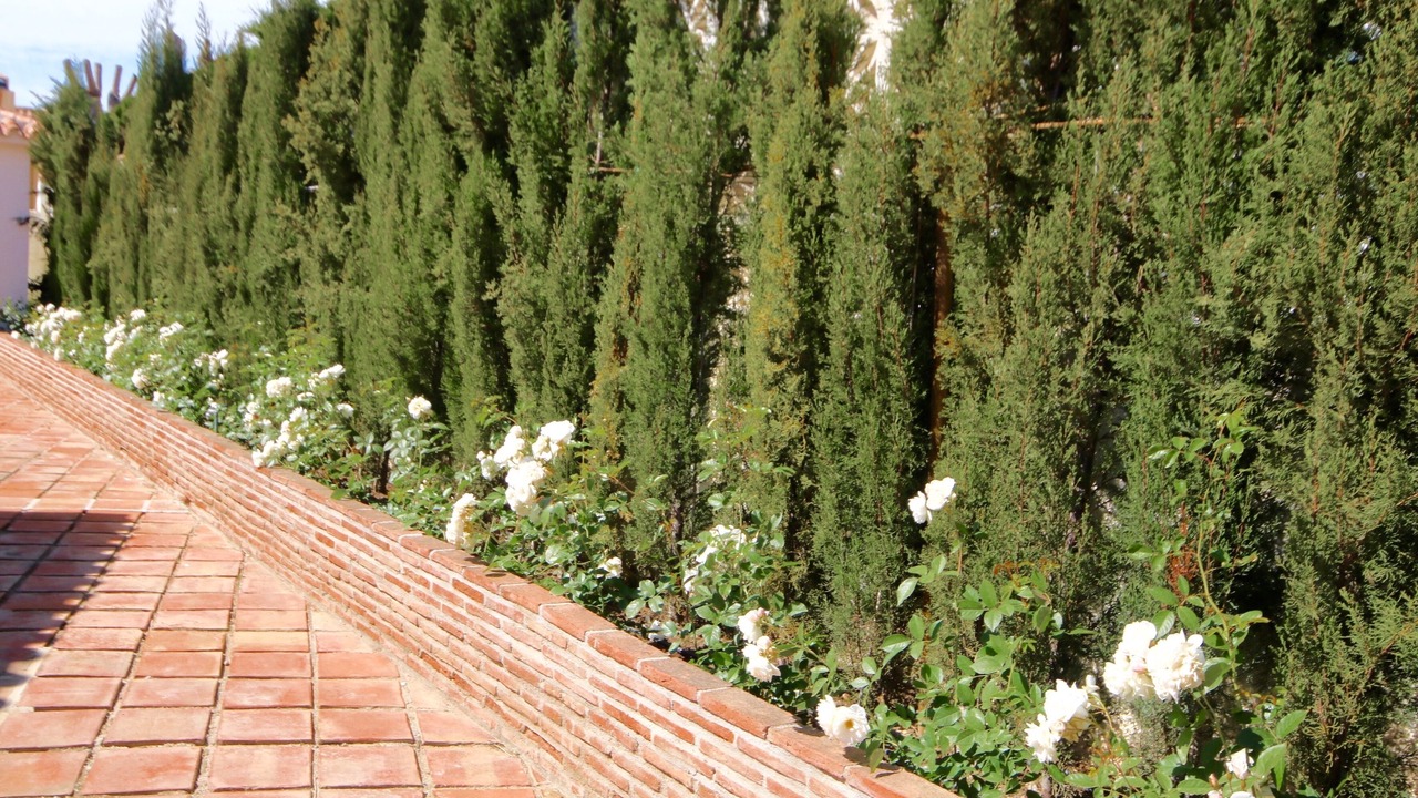Photo of Outdoor in Mijas