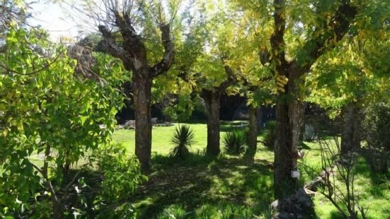 Photo of Outdoor in Galapagar