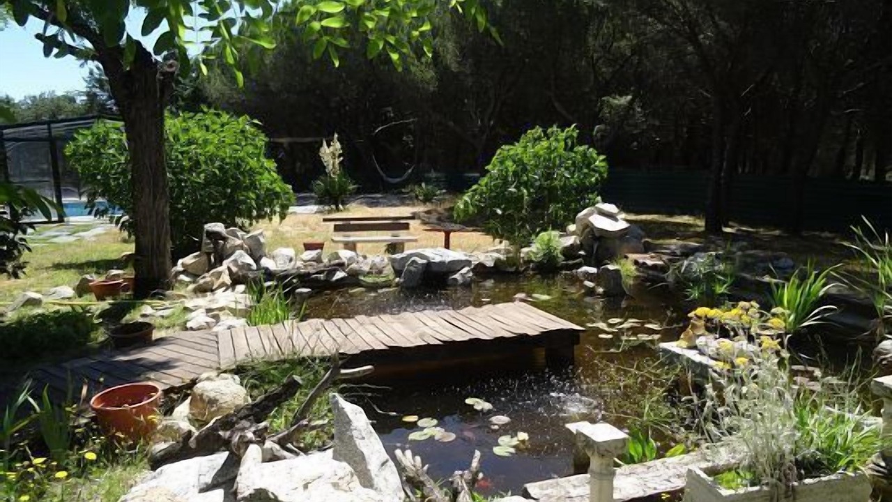 Photo of Outdoor in Galapagar