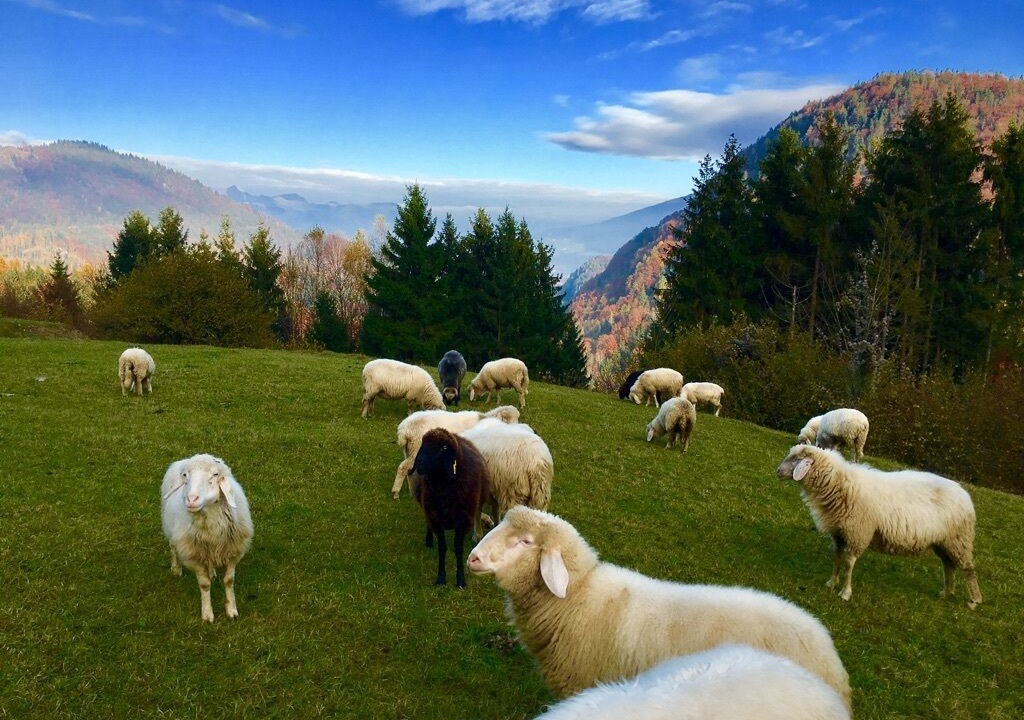 Photo of Others in Kiefersfelden