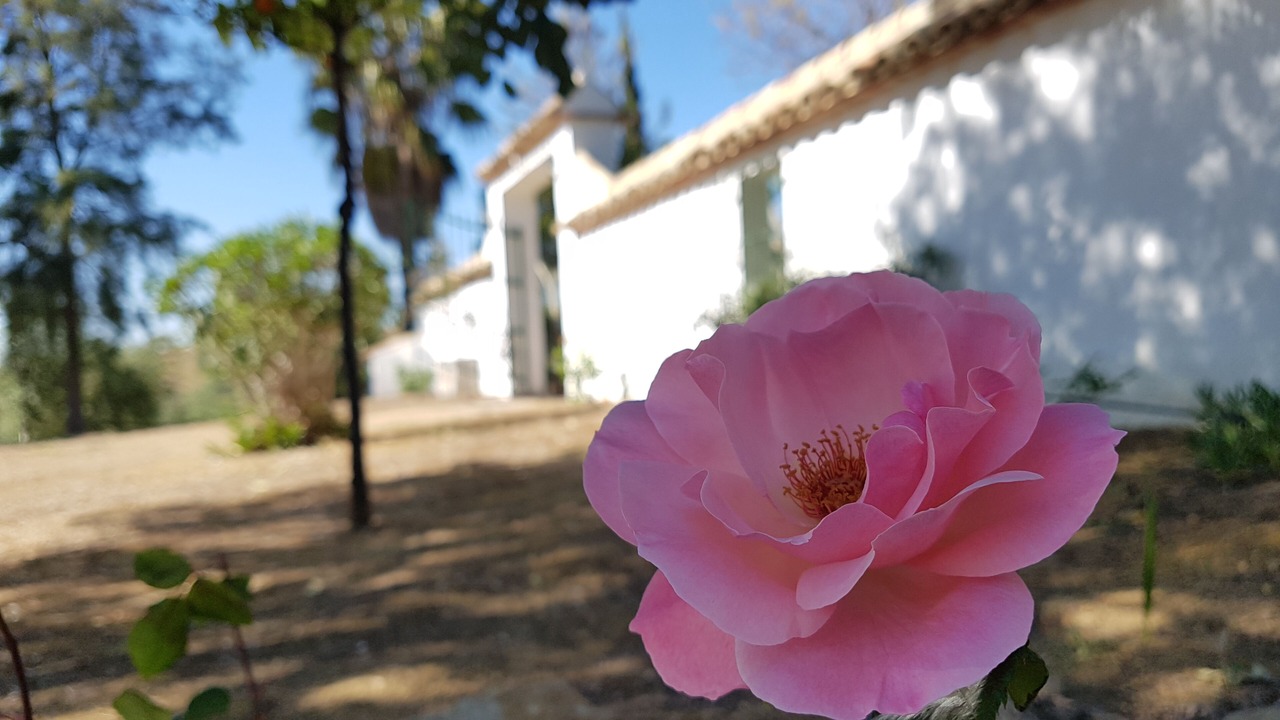 Photo of Outdoor in Puerto Serrano