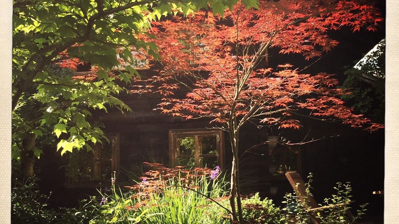 Photo of Outdoor in Schoellnach