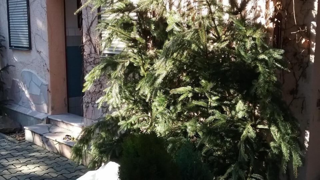 Photo of Outdoor in Berggieshubel