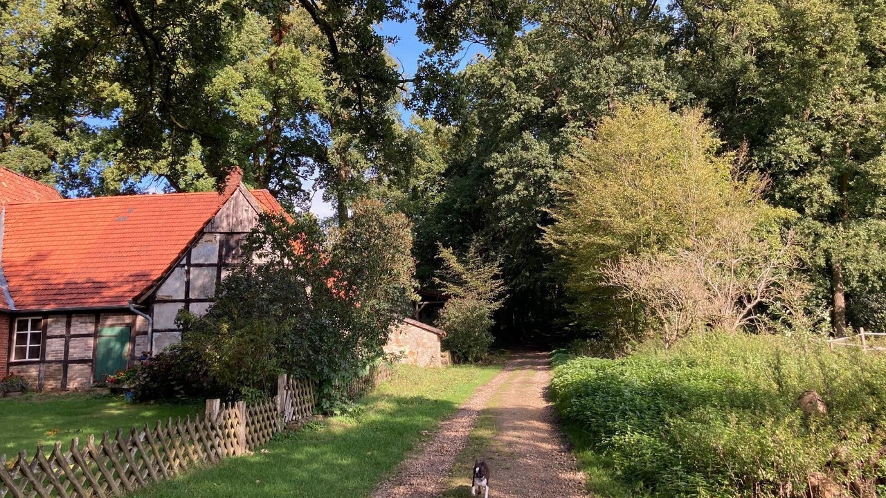 Photo of Outdoor in Brochterbeck