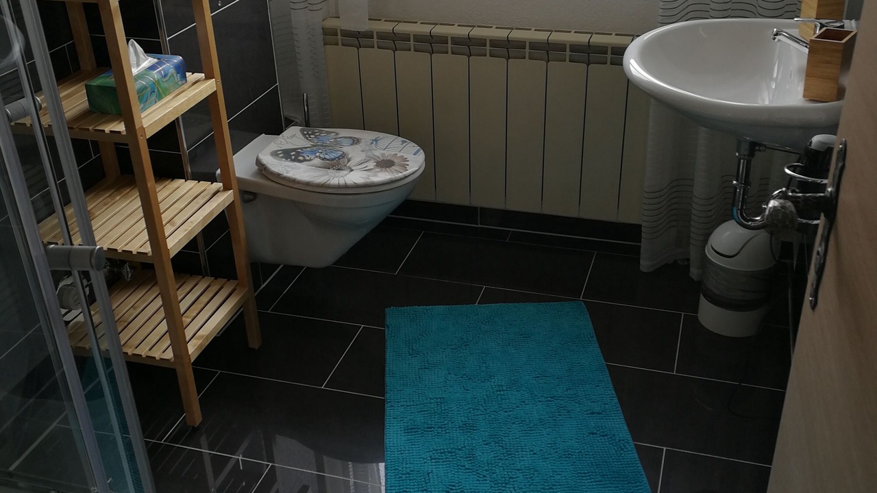 Photo of Bathroom in Freudenstadt