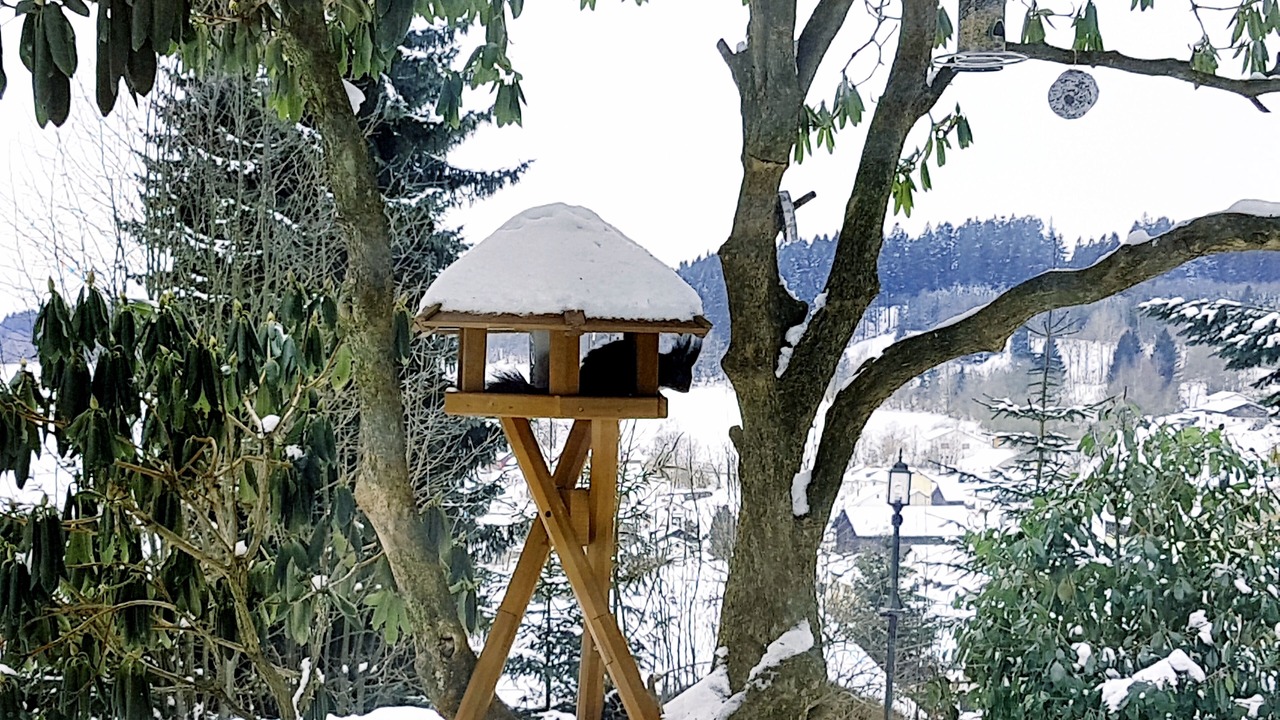 Photo of Outdoor in Sankt Englmar
