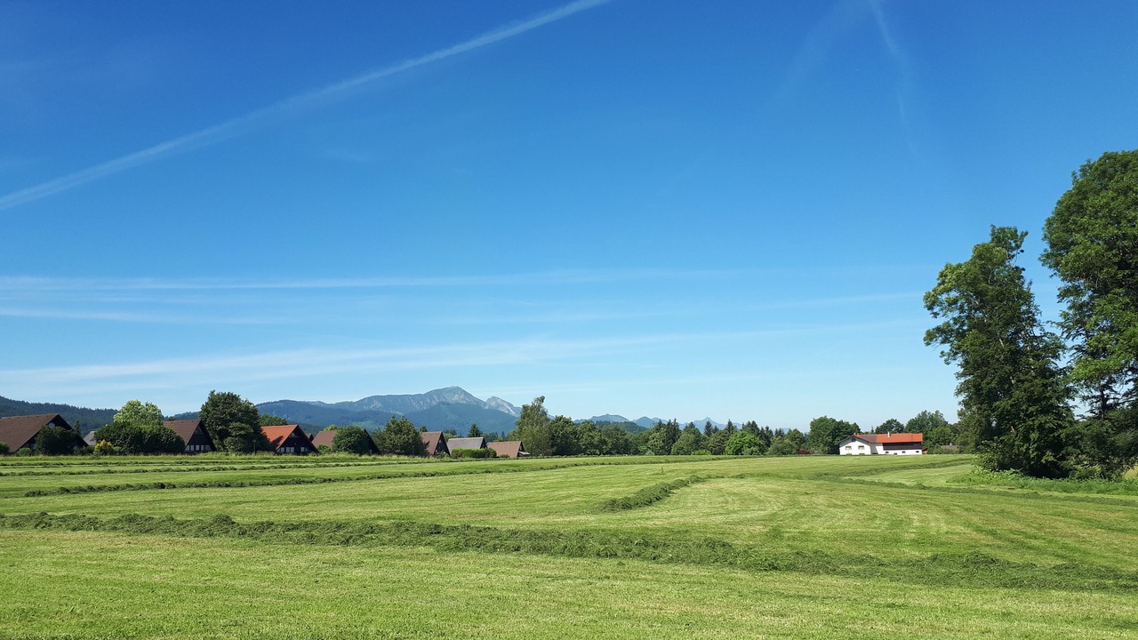 Photo of Others in Feichten