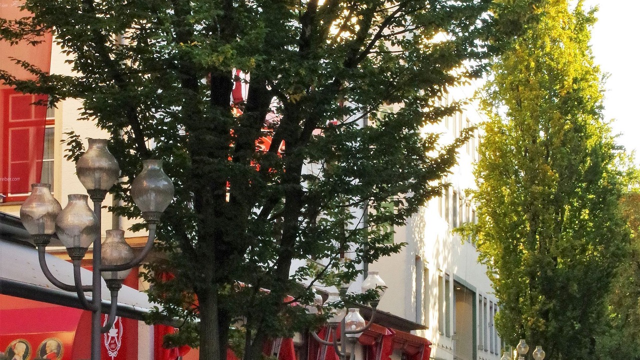 Photo of Others in Bad Reichenhall