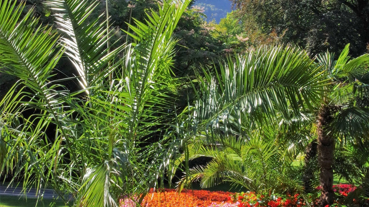 Photo of Outdoor in Bad Reichenhall