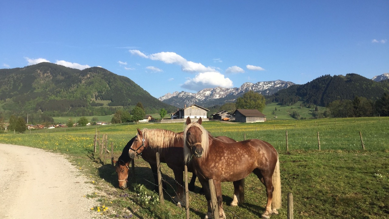 Photo of Outdoor in Buching