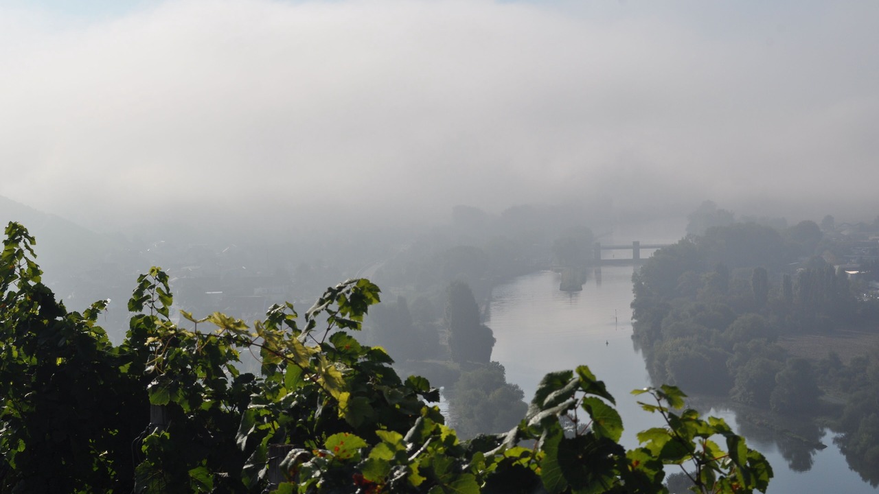 Photo of Outdoor in Randersacker