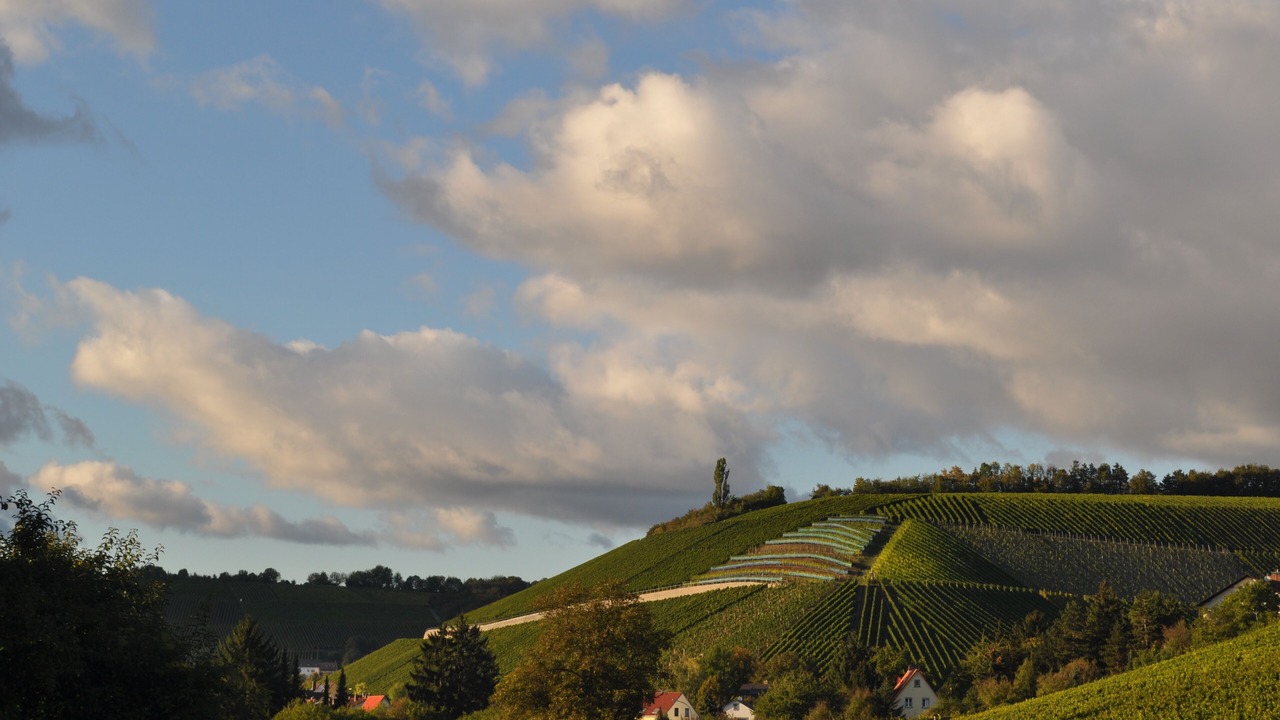 Photo of Outdoor in Randersacker