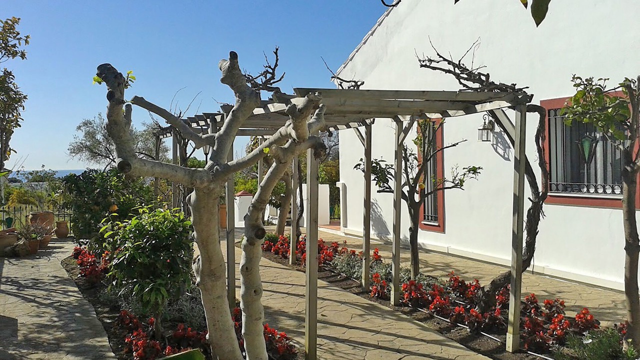 Photo of Outdoor in Calahonda