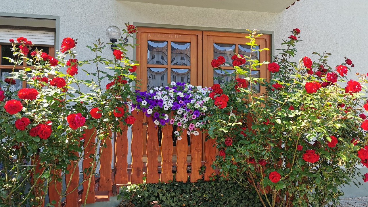Photo of Outdoor in Heiligenstadt in Oberfranken