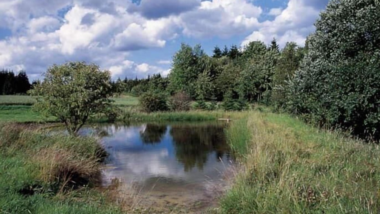 Photo of Outdoor in Presseck