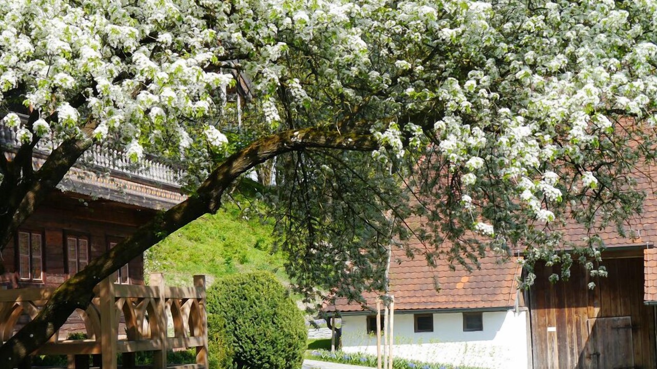 Photo of Outdoor in Obermarchenbach