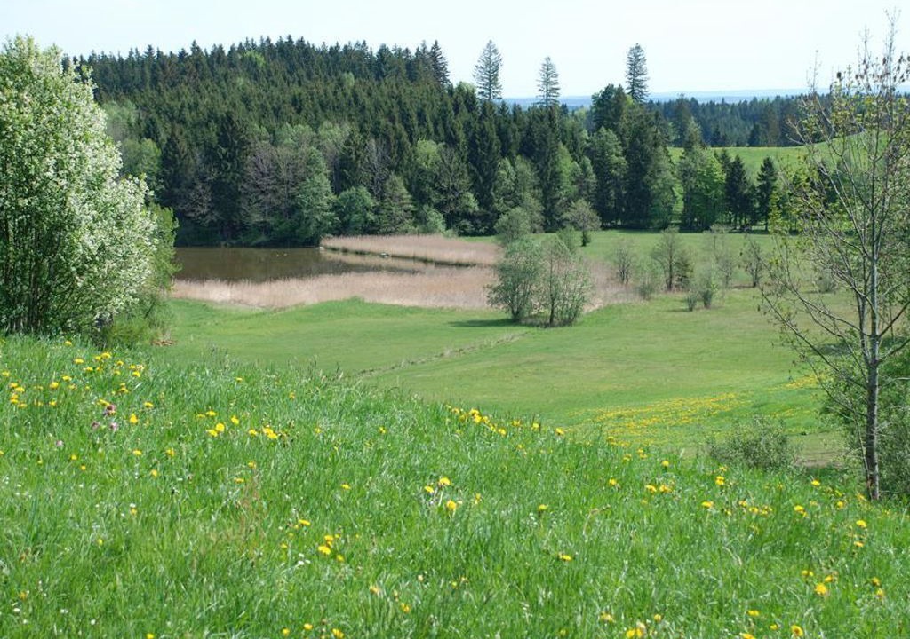 Photo of Others in Bad Kohlgrub