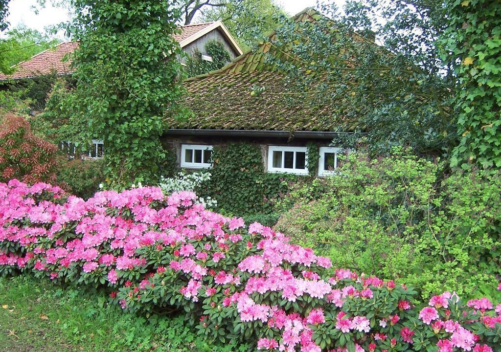 Photo of Outdoor in Bad Zwischenahn