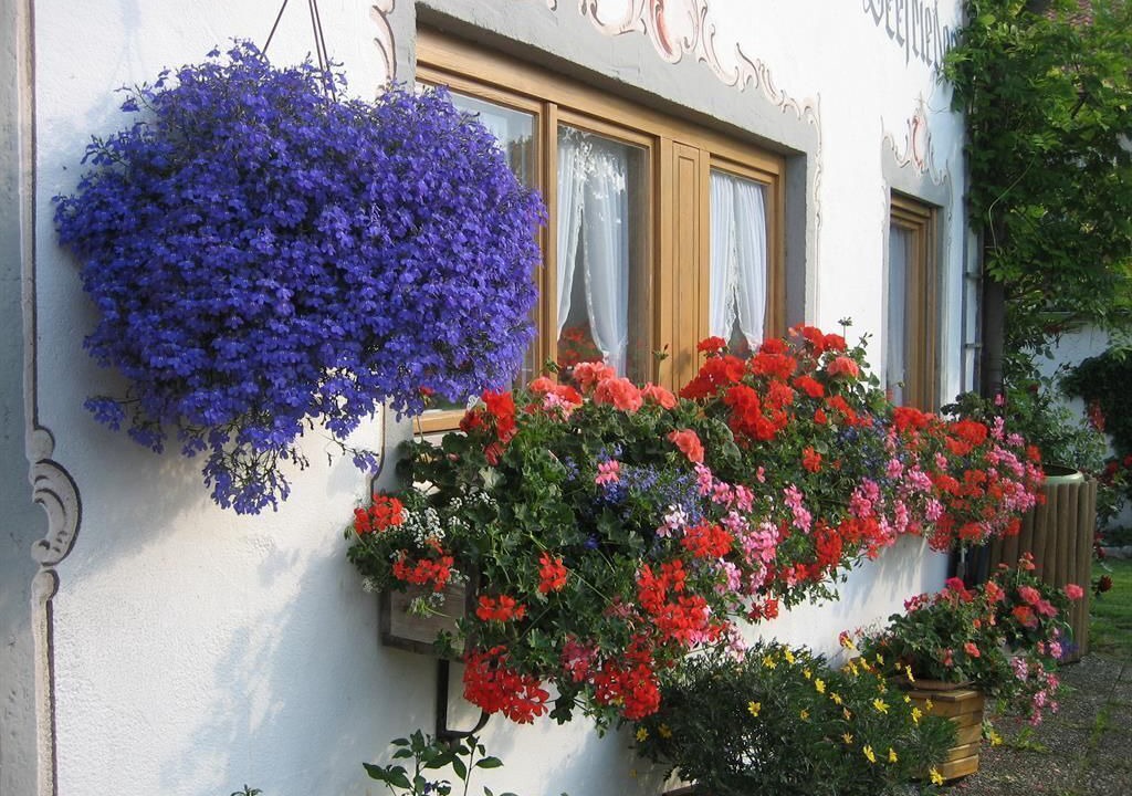 Photo of Outdoor in Bad Bayersoien