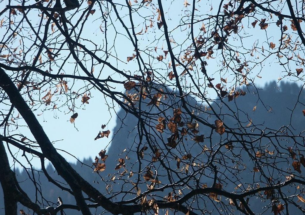 Photo of Others in Oberammergau