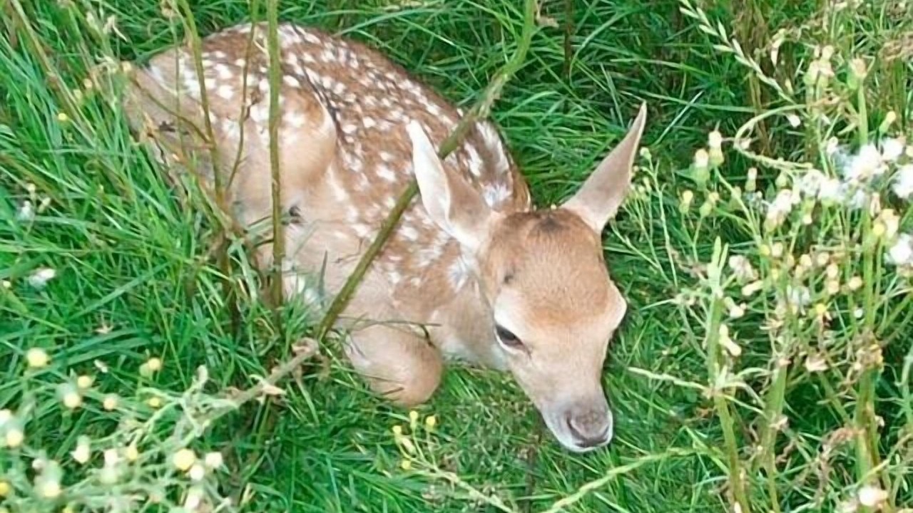 Photo of Outdoor in Lahre
