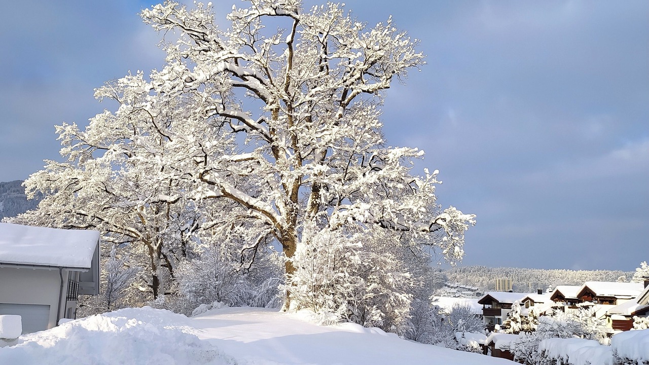 Photo of Outdoor in Rauhenzell