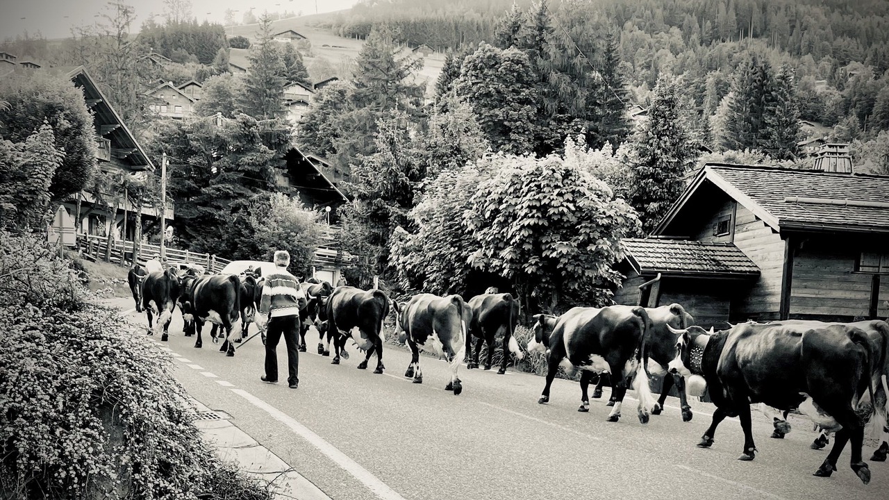 Photo of Others in La Clusaz