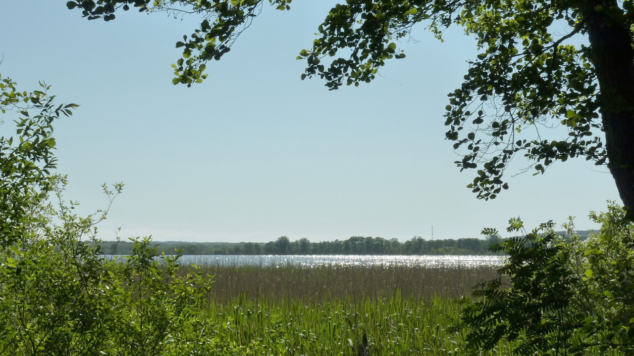 Photo of Others in Korswandt