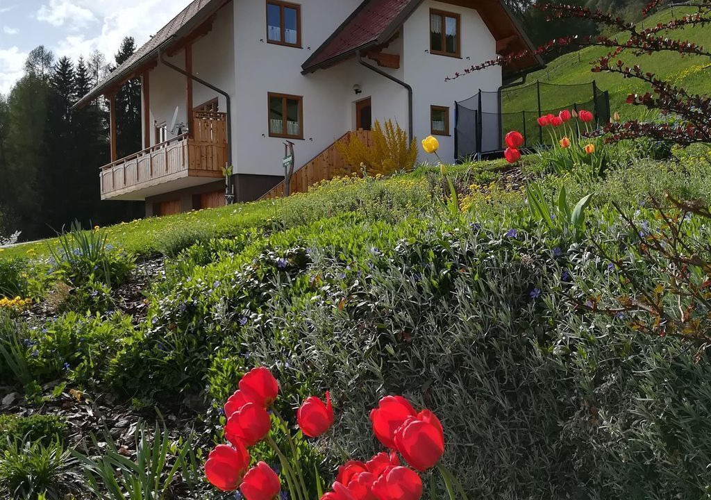Photo of Outdoor in Murau