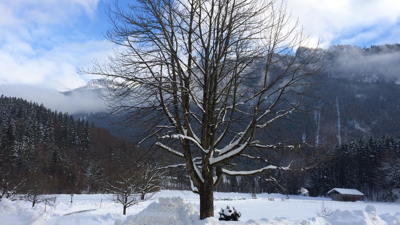 Photo of Outdoor in Aschau im Chiemgau