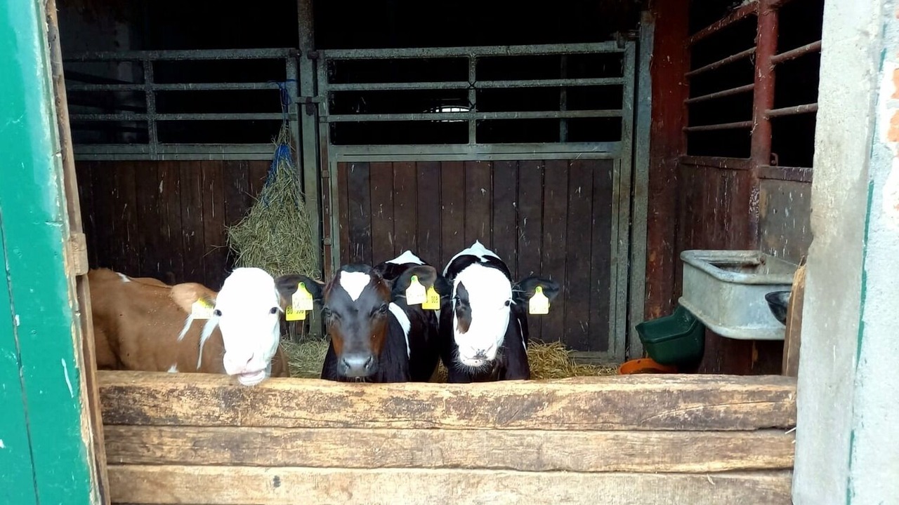 Photo of Others in Groemitz