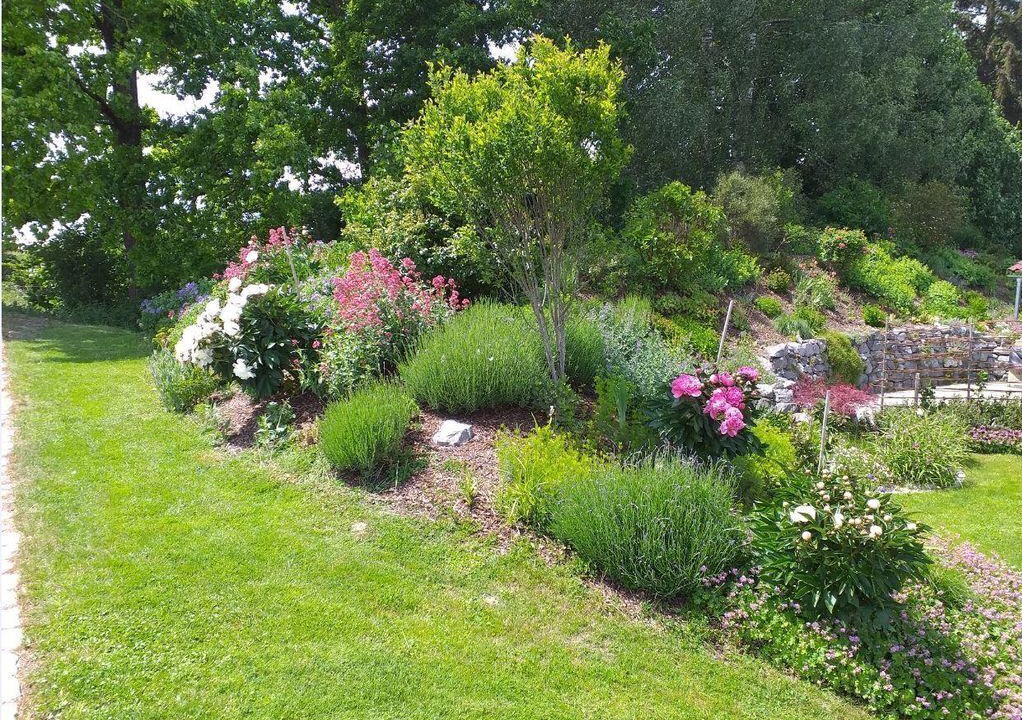 Photo of Outdoor in Hergatz