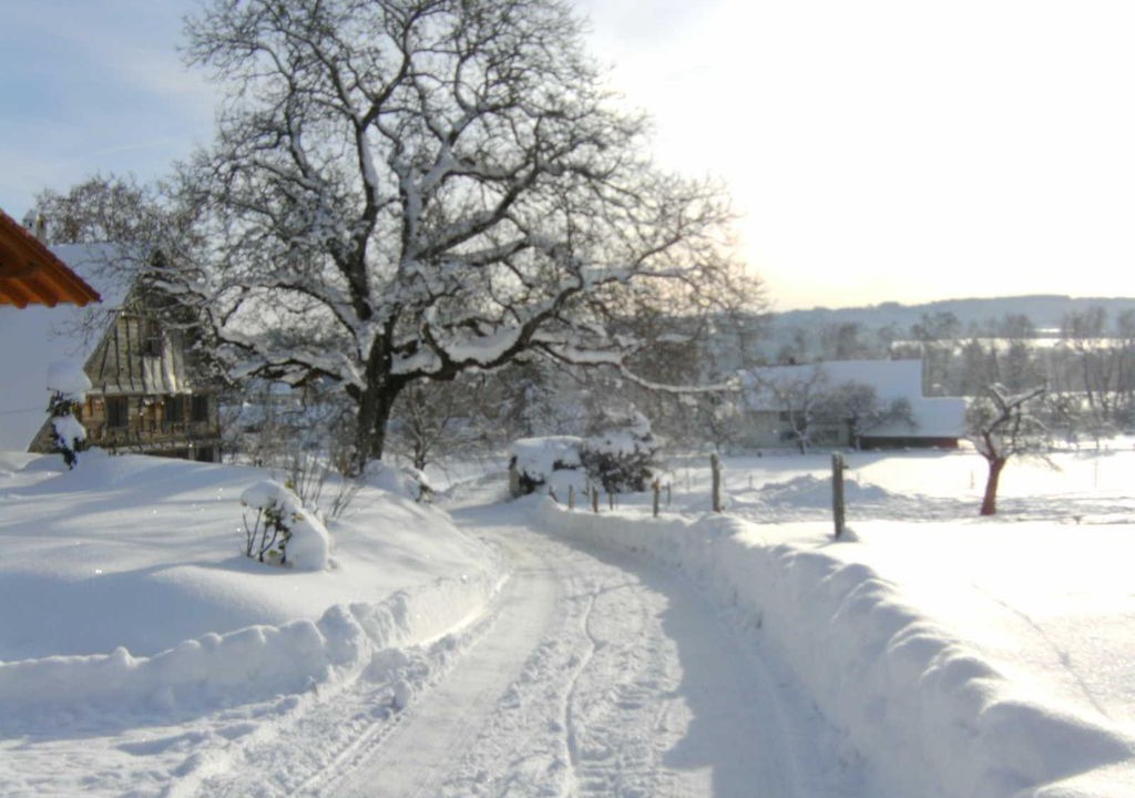 Photo of Others in Hergatz