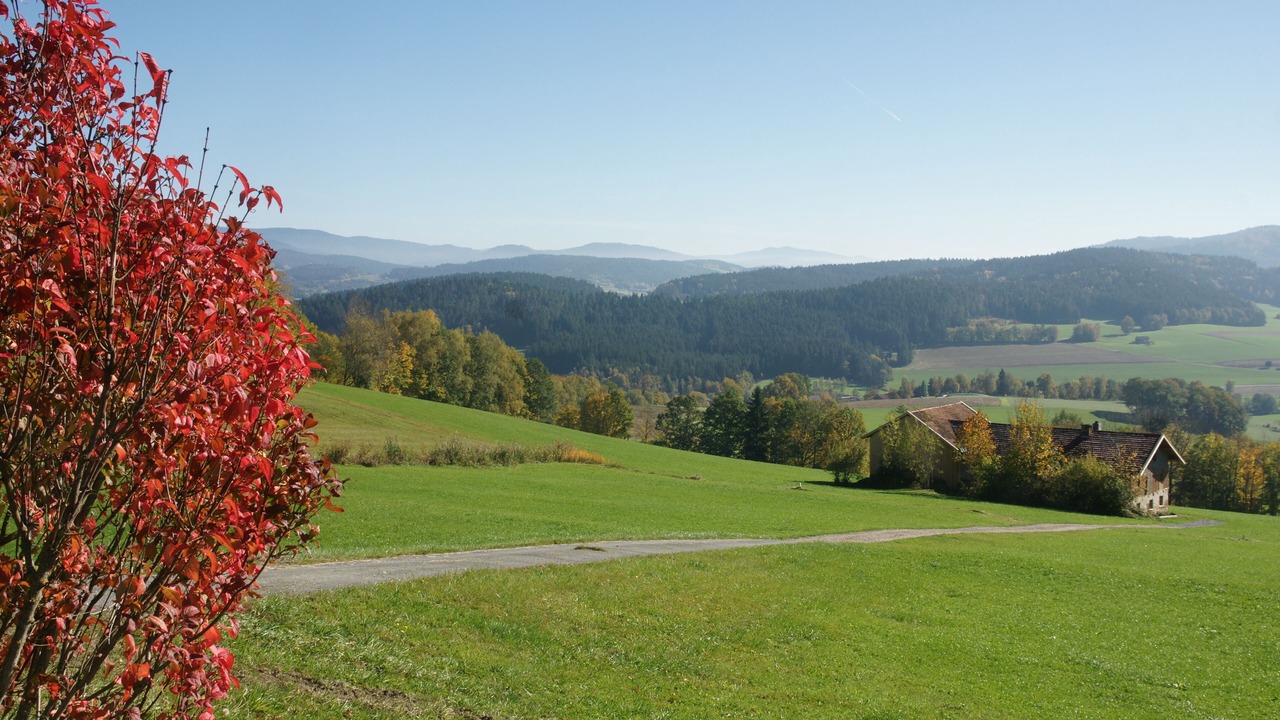 Photo of Outdoor in Sankt Englmar