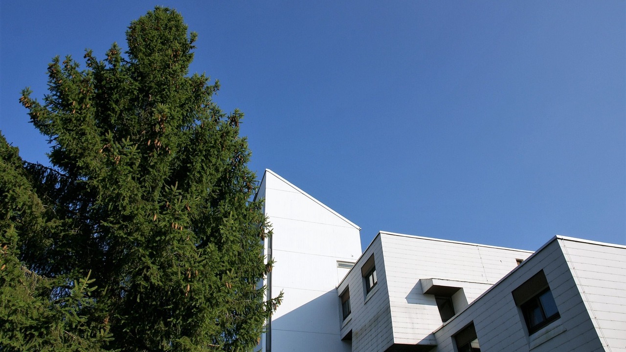 Photo of Outdoor in Sankt Englmar