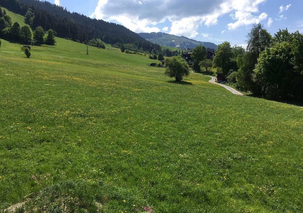 Photo of Others in Going am Wilden Kaiser