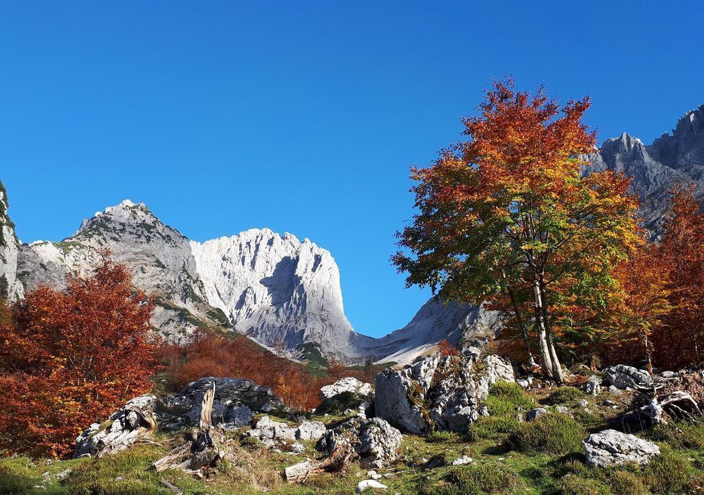 Photo of Others in Going am Wilden Kaiser