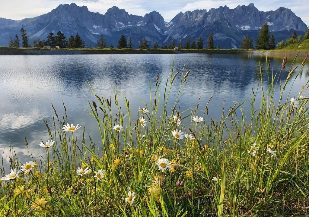 Photo of Others in Going am Wilden Kaiser