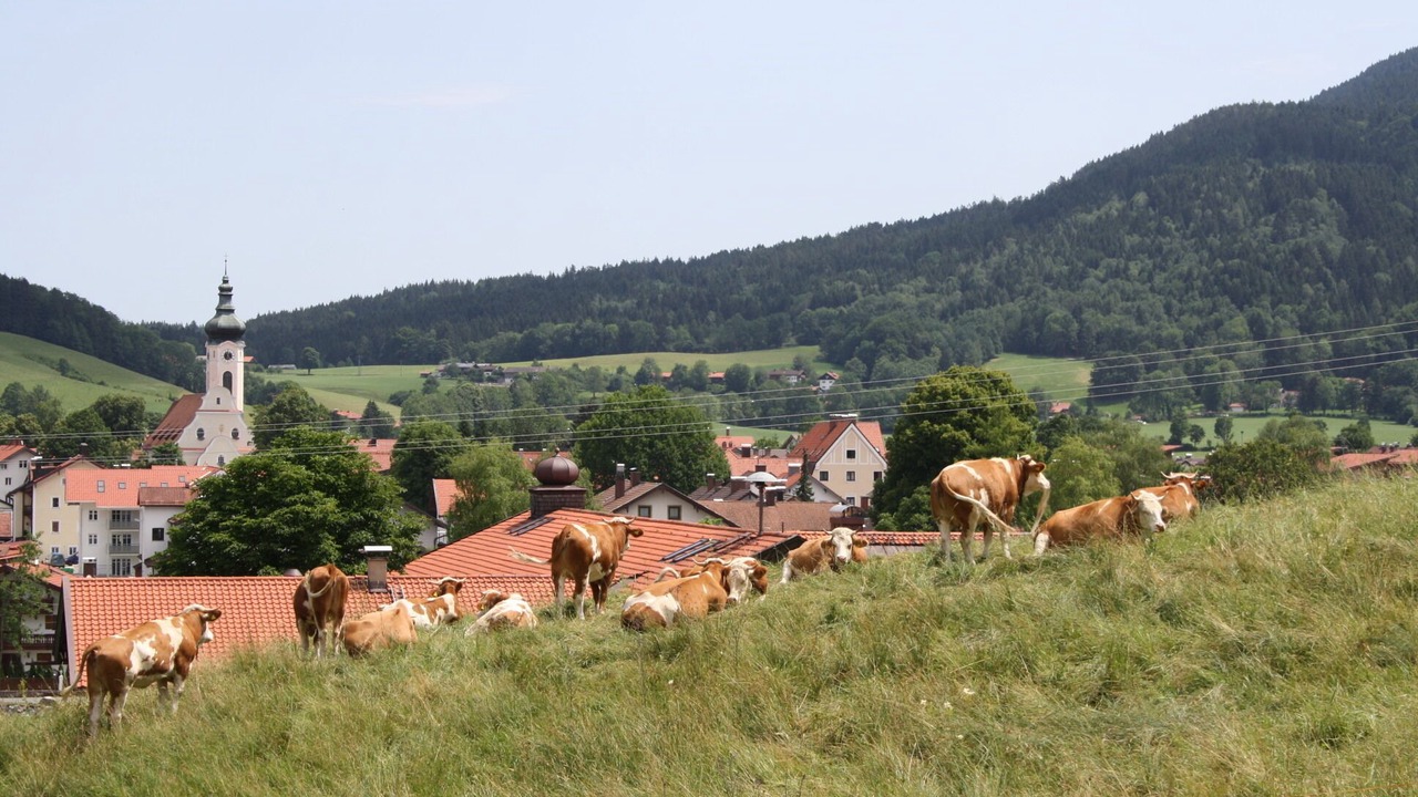 Photo of Outdoor in Hausham