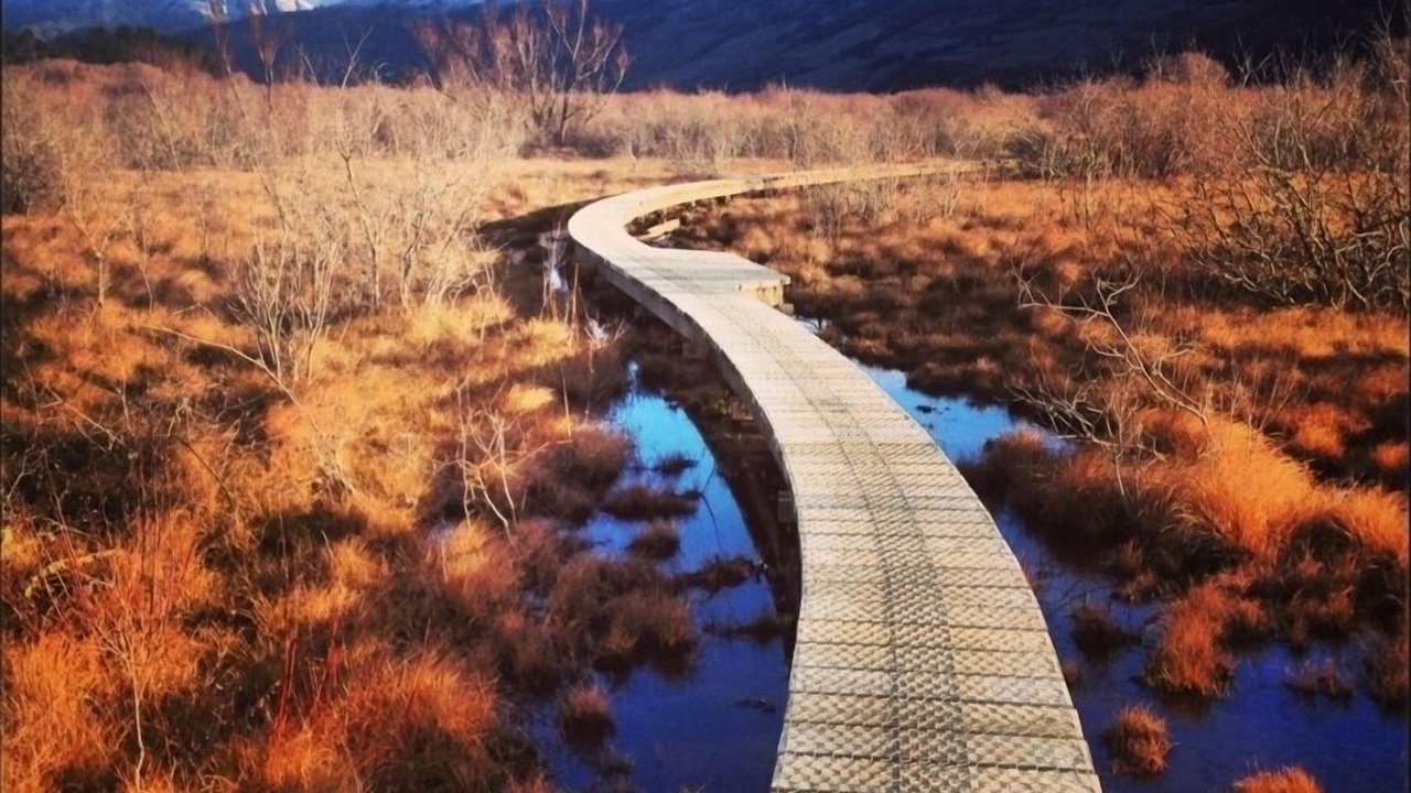 Photo of Others in Glenorchy