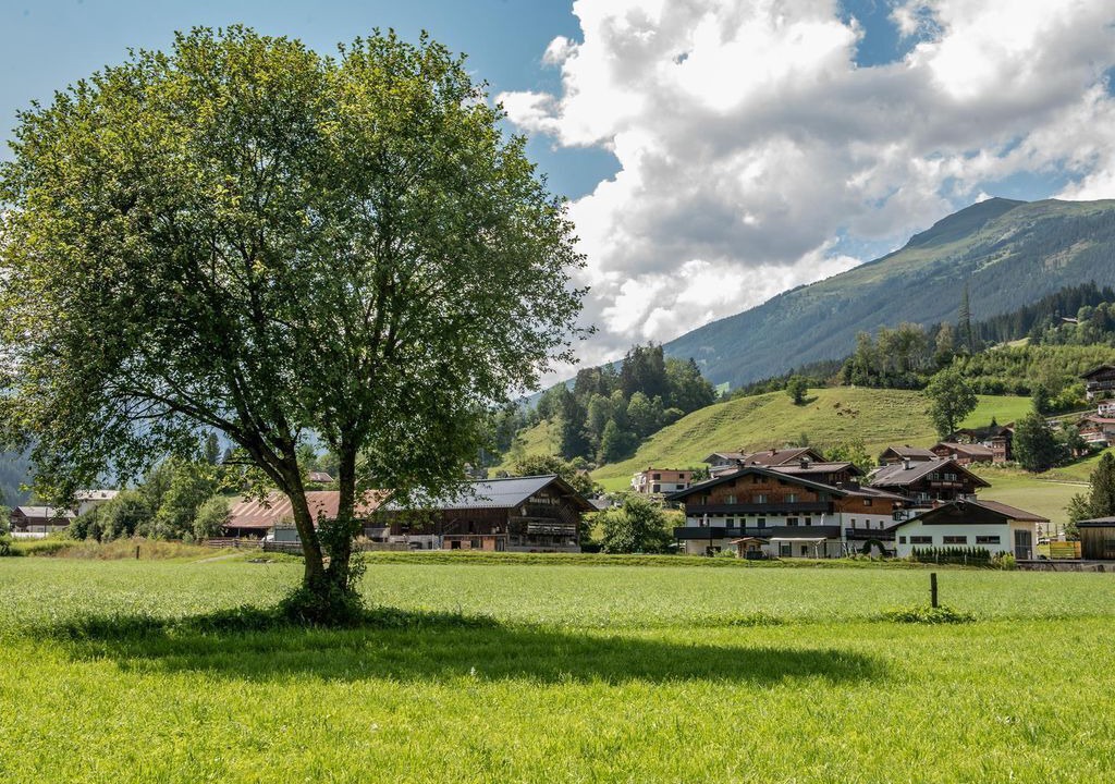 Photo of Others in Schonbach
