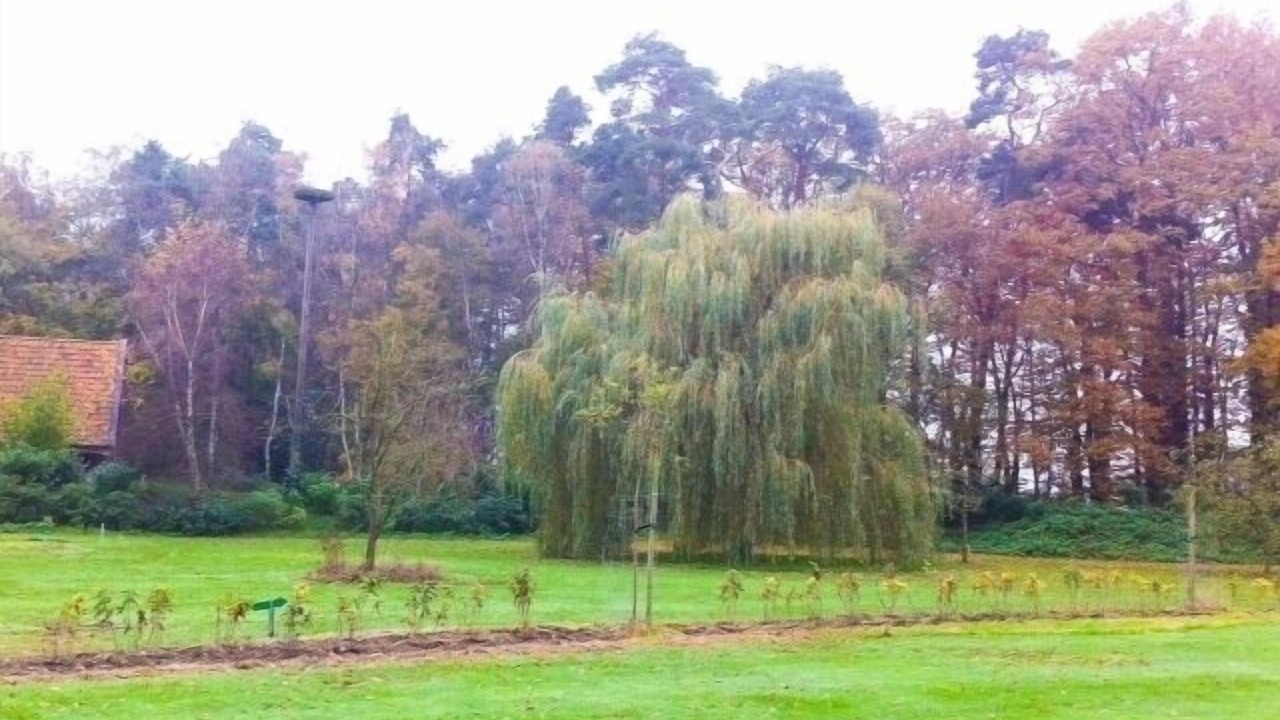 Photo of Outdoor in Bad Bentheim