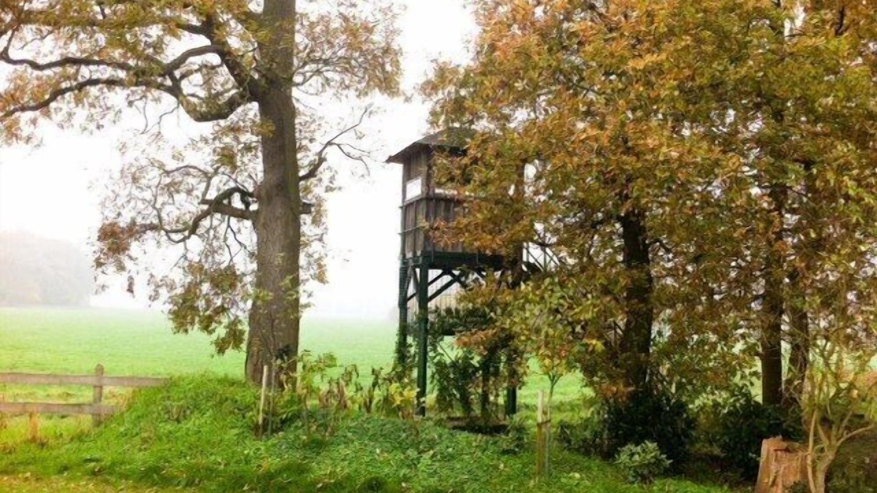 Photo of Outdoor in Bad Bentheim