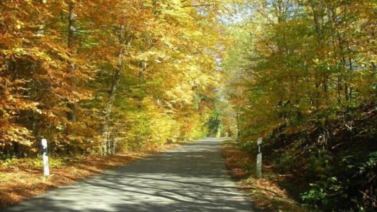 Photo of Outdoor in Elbersreuth
