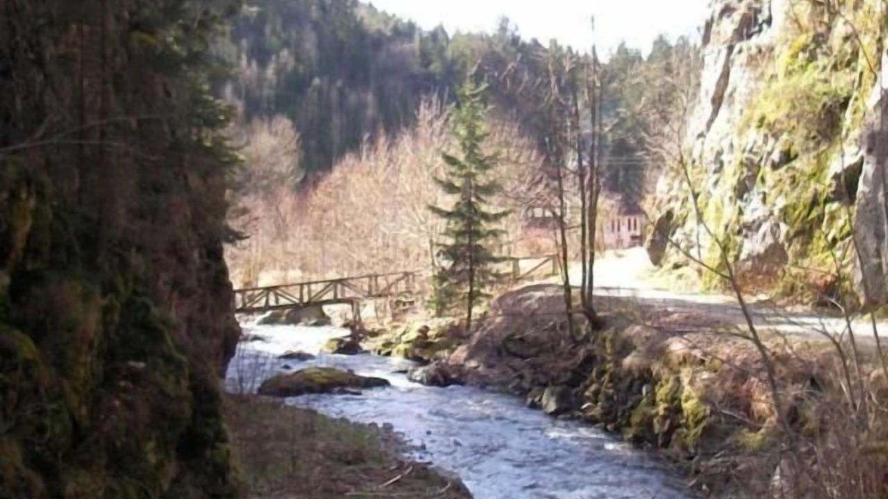 Photo of Outdoor in Elbersreuth