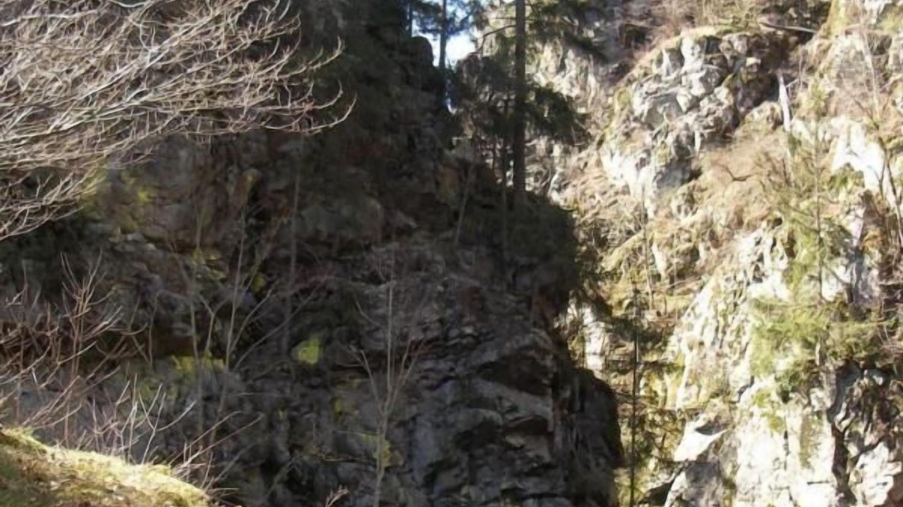 Photo of Outdoor in Elbersreuth