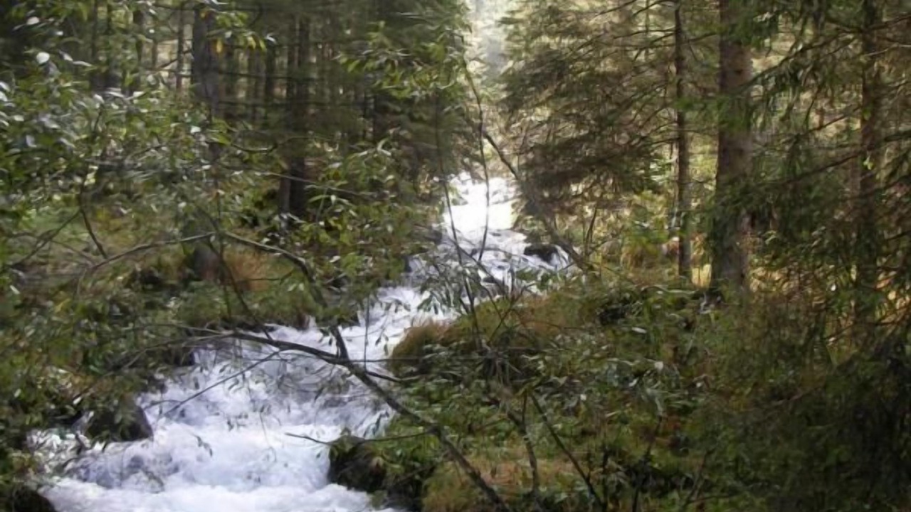 Photo of Outdoor in Elbersreuth