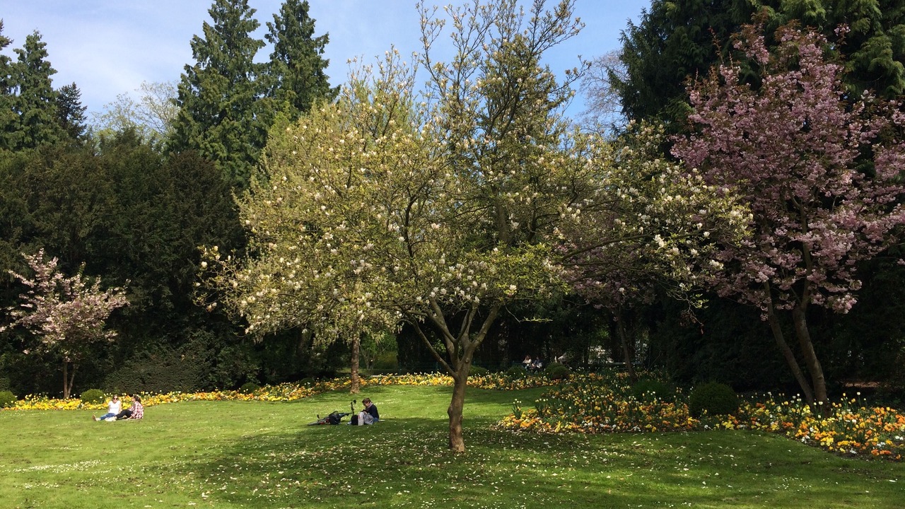 Photo of Outdoor in Wuerzburg