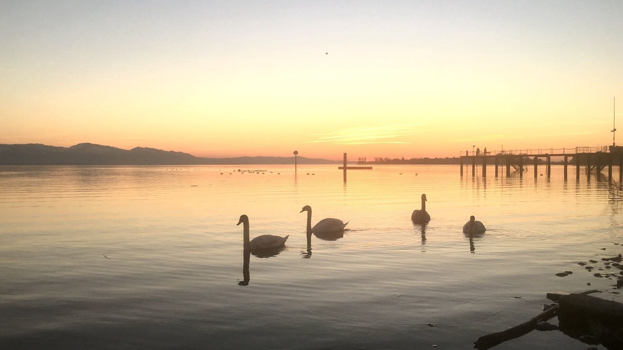 Photo of Outdoor in Insel